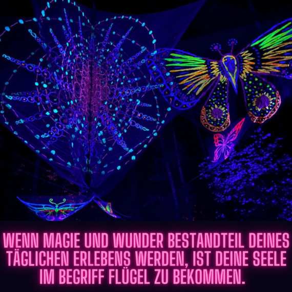Wunder